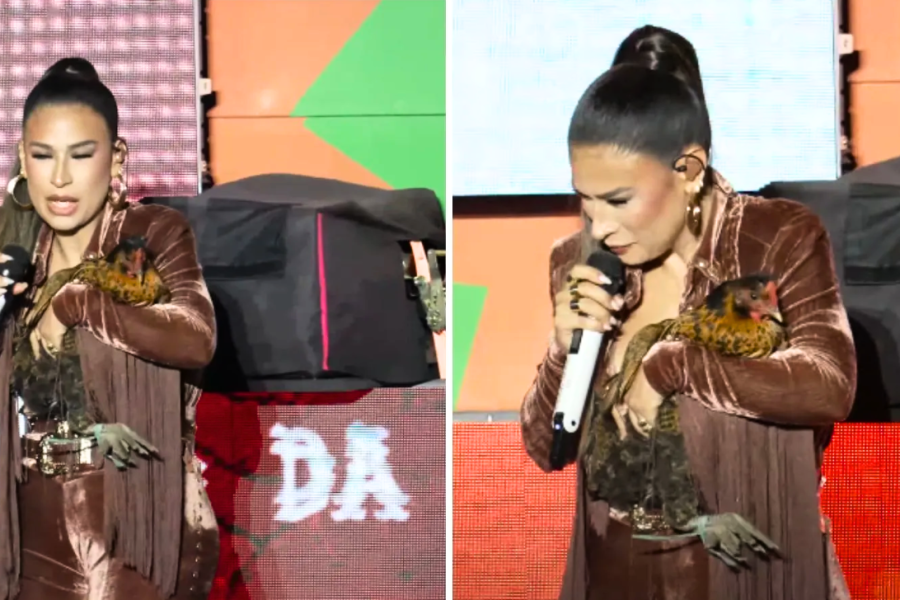 Simone Mendes ganha galinha durante show, batiza como Jurema e